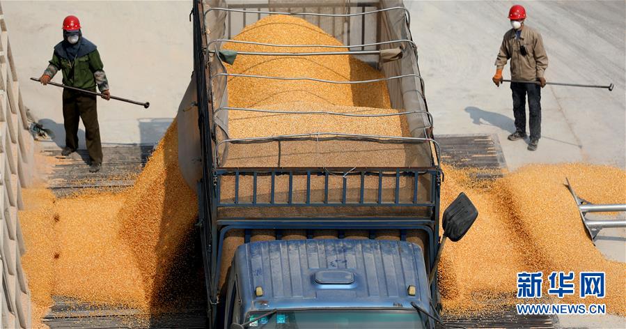 （在習(xí)近平新時(shí)代中國特色社會(huì)主義思想指引下&mdash;&mdash;新時(shí)代新作為新篇章&middot;習(xí)近平總書記關(guān)切事&middot;圖文互動(dòng)）（7）春耕忙 信心足&mdash;&mdash;谷雨時(shí)節(jié)走馬東北直擊糧事