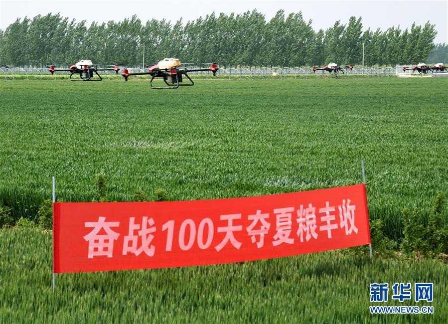 （在習(xí)近平新時(shí)代中國(guó)特色社會(huì)主義思想指引下&mdash;&mdash;新時(shí)代新作為新篇章&middot;習(xí)近平總書(shū)記關(guān)切事&middot;圖文互動(dòng)）（9）新農(nóng)事、新希望&mdash;&mdash;夏收前田間新動(dòng)態(tài)掃描