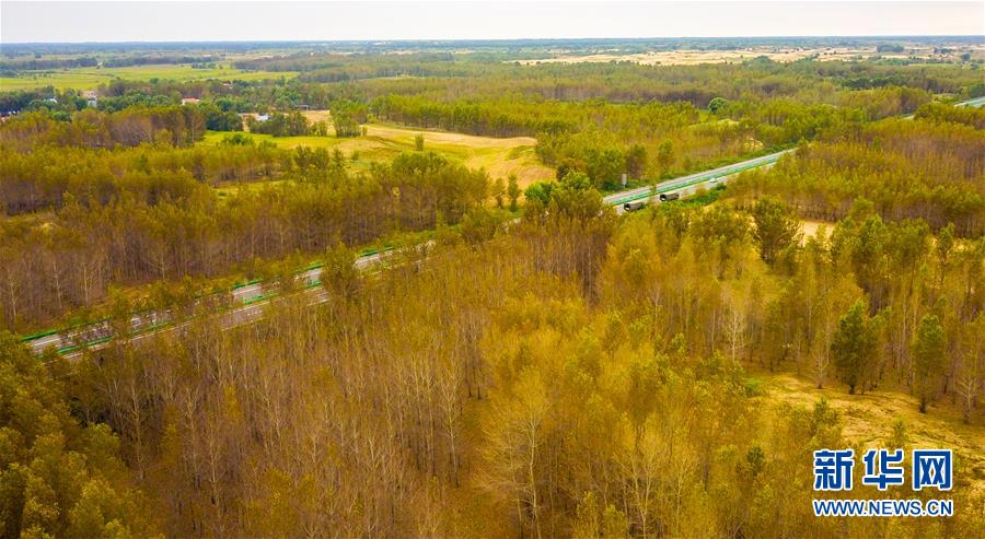 （在習(xí)近平新時(shí)代中國(guó)特色社會(huì)主義思想指引下&mdash;&mdash;新時(shí)代新作為新篇章&middot;習(xí)近平總書記關(guān)切事&middot;圖文互動(dòng)）（3）綠意，在黃沙中鋪展&mdash;&mdash;我國(guó)防沙治沙紀(jì)實(shí)