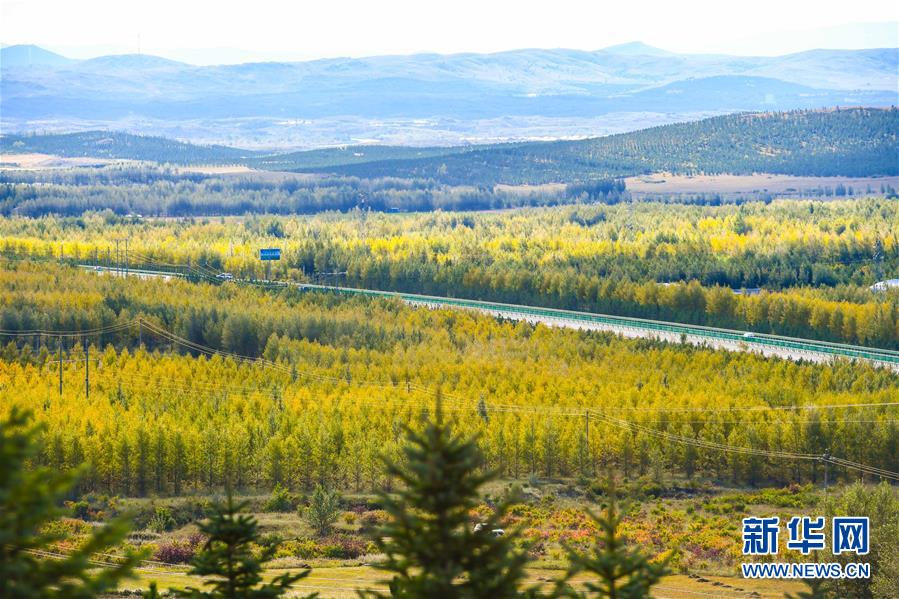 （在習(xí)近平新時(shí)代中國(guó)特色社會(huì)主義思想指引下&mdash;&mdash;新時(shí)代新作為新篇章&middot;習(xí)近平總書記關(guān)切事&middot;圖文互動(dòng)）（7）綠意，在黃沙中鋪展&mdash;&mdash;我國(guó)防沙治沙紀(jì)實(shí)