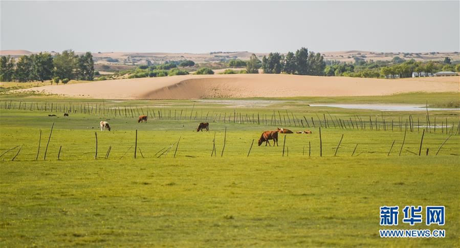 （在習(xí)近平新時(shí)代中國(guó)特色社會(huì)主義思想指引下&mdash;&mdash;新時(shí)代新作為新篇章&middot;習(xí)近平總書記關(guān)切事&middot;圖文互動(dòng)）（9）綠意，在黃沙中鋪展&mdash;&mdash;我國(guó)防沙治沙紀(jì)實(shí)