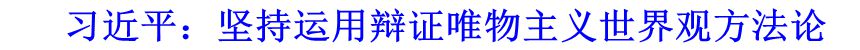 習(xí)近平：堅持運用辯證唯物主義世界觀方法論