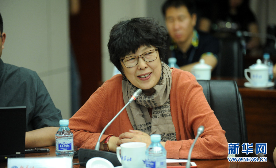 陳小波：新華人對(duì)歷史的擔(dān)當(dāng)、情感與良知