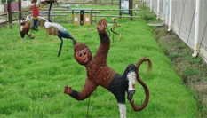 動(dòng)畫片主角&ldquo;化身&rdquo;稻草人亮相宜興農(nóng)田