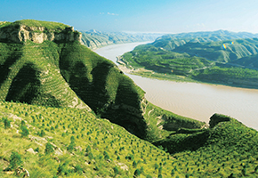 張建龍：&ldquo;三北工程&rdquo;實現(xiàn)生態(tài)、經(jīng)濟、社會效益&ldquo;多贏&rdquo;