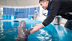 水生館里的&ldquo;長(zhǎng)江國寶&rdquo;