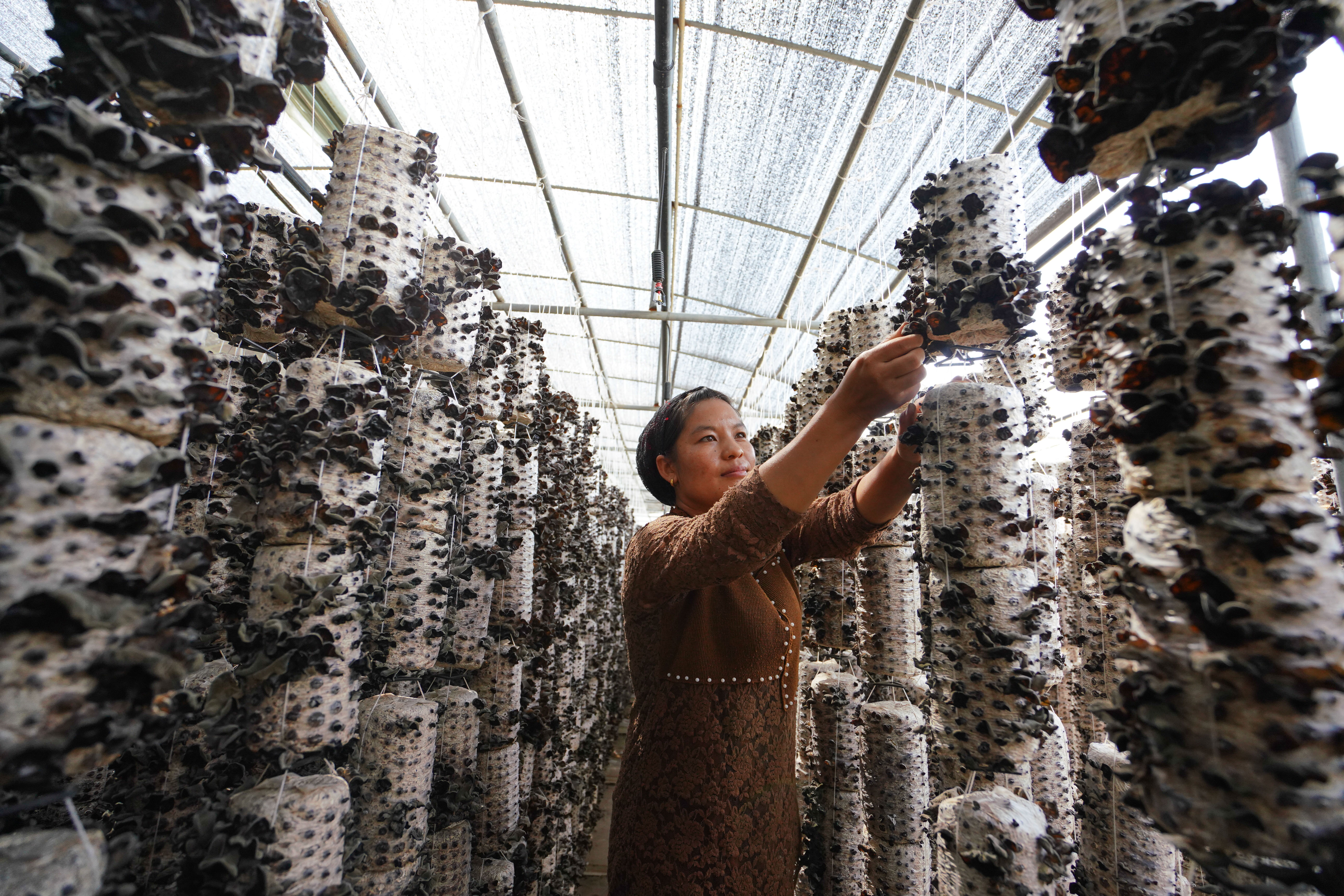 以沖刺的狀態(tài)跑出決勝的姿態(tài)&mdash;&mdash;&ldquo;三區(qū)三州&rdquo;甘肅深貧區(qū)脫貧攻堅報告