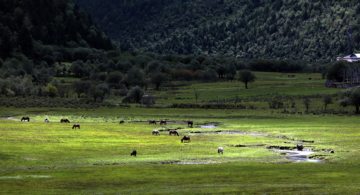 云南&ldquo;三江并流&rdquo;地區(qū)決戰(zhàn)精準脫貧的&ldquo;生態(tài)畫卷&rdquo;