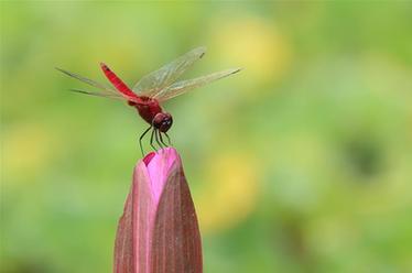 2019，精&ldquo;彩&rdquo;紛呈