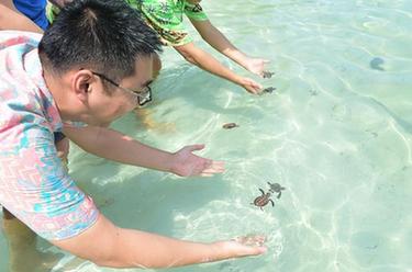 李嘉文：我在印尼當(dāng)&ldquo;島主&rdquo;