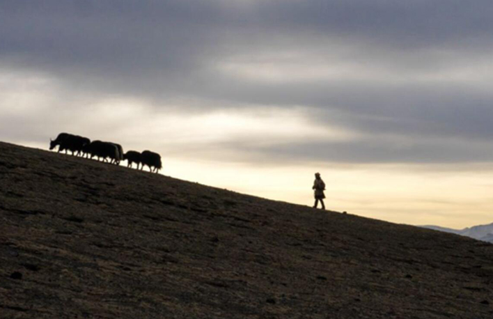 幸福來(lái)敲門(mén)丨普次仁的&ldquo;新牧場(chǎng)&rdquo;