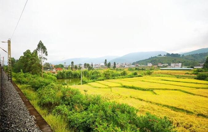 坐著高鐵看中國(guó)｜走成昆，感受闖過(guò)禁區(qū)的光影記錄