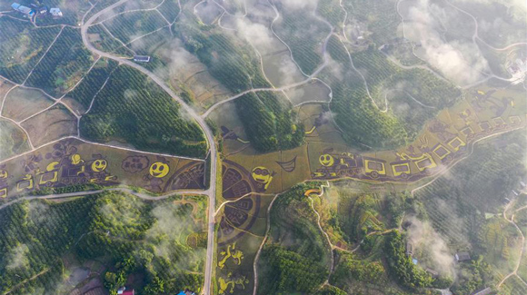 百城千縣萬村調(diào)研行｜在三峽橘鄉(xiāng)，遇見最美的田園時光！