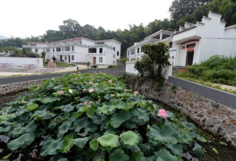 從&ldquo;單一治理&rdquo;到&ldquo;全局治理&rdquo;：贛南老區(qū)展示生態(tài)新畫(huà)卷