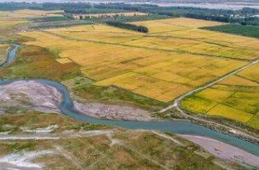 荒漠林海生新&ldquo;芽&rdquo;：新疆阿克蘇柯柯牙綠化工程再升級(jí)