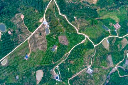 金沙江畔新華坪：黑色轉(zhuǎn)綠色，荒山變金山