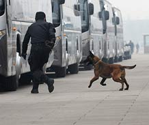 防爆犬兩會(huì)現(xiàn)場保安全