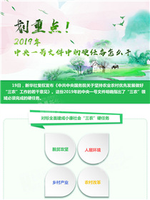 劃重點(diǎn)！2019年中央一號文件中的硬任務(wù)怎么干