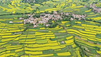 山鄉(xiāng)&ldquo;鑲金&rdquo; 田園如畫(huà)