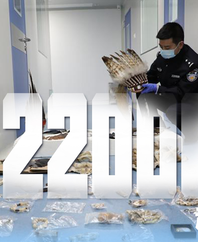 抗疫有&ldquo;法&rdquo;，就是這么給力！