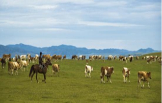 華能北方公司：奔小康，咱肯定能