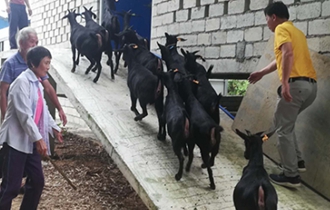 華能?？陔姀S：脫貧攻堅(jiān)齊心力 貧困鄉(xiāng)村煥新顏