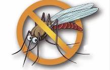 夏季，常見(jiàn)蚊蟲(chóng)如何應(yīng)對(duì)