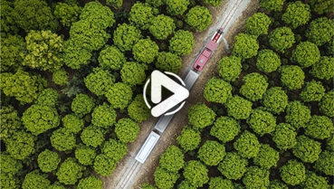 第十一集：你好！地球衛(wèi)士