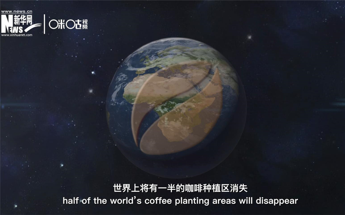 科學(xué)家預(yù)測到三十年后，世界上將有一半的咖啡種植區(qū)消失