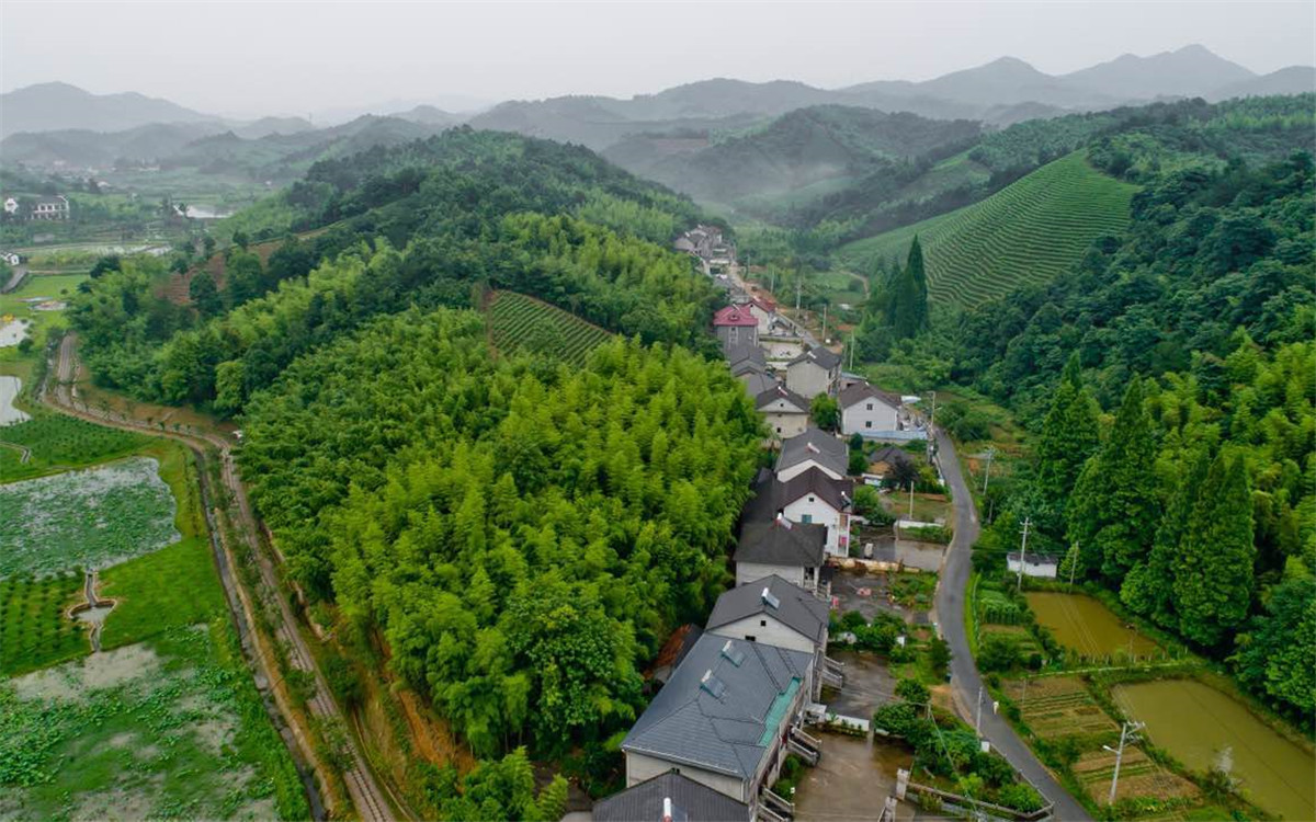 從2003年起，浙江省開展了&ldquo;千村示范、萬村整治&rdquo;工程