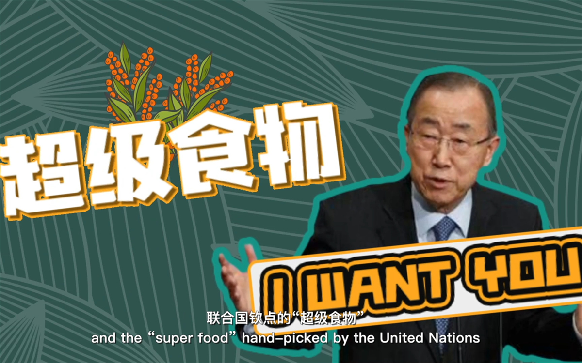 聯(lián)合國將藜麥視為抗擊饑餓的&ldquo;超級食物&rdquo;，大力推廣