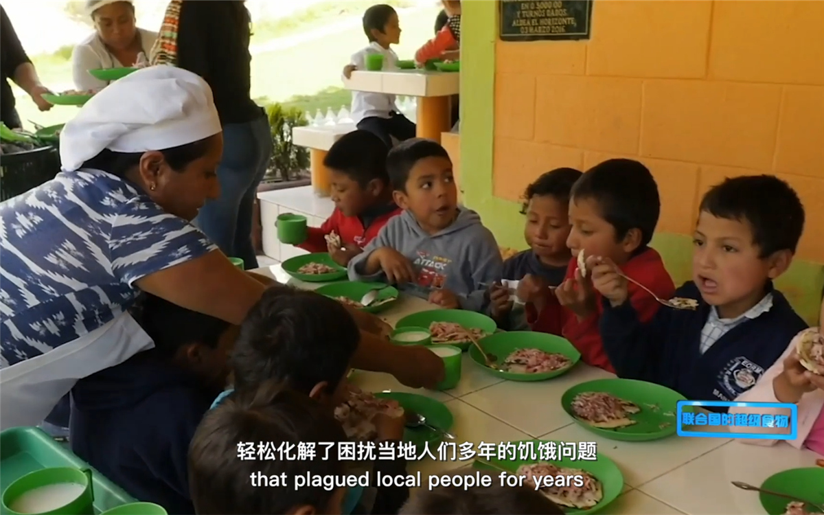 藜麥的蹤跡遍布北美、歐洲、亞洲和非洲多地