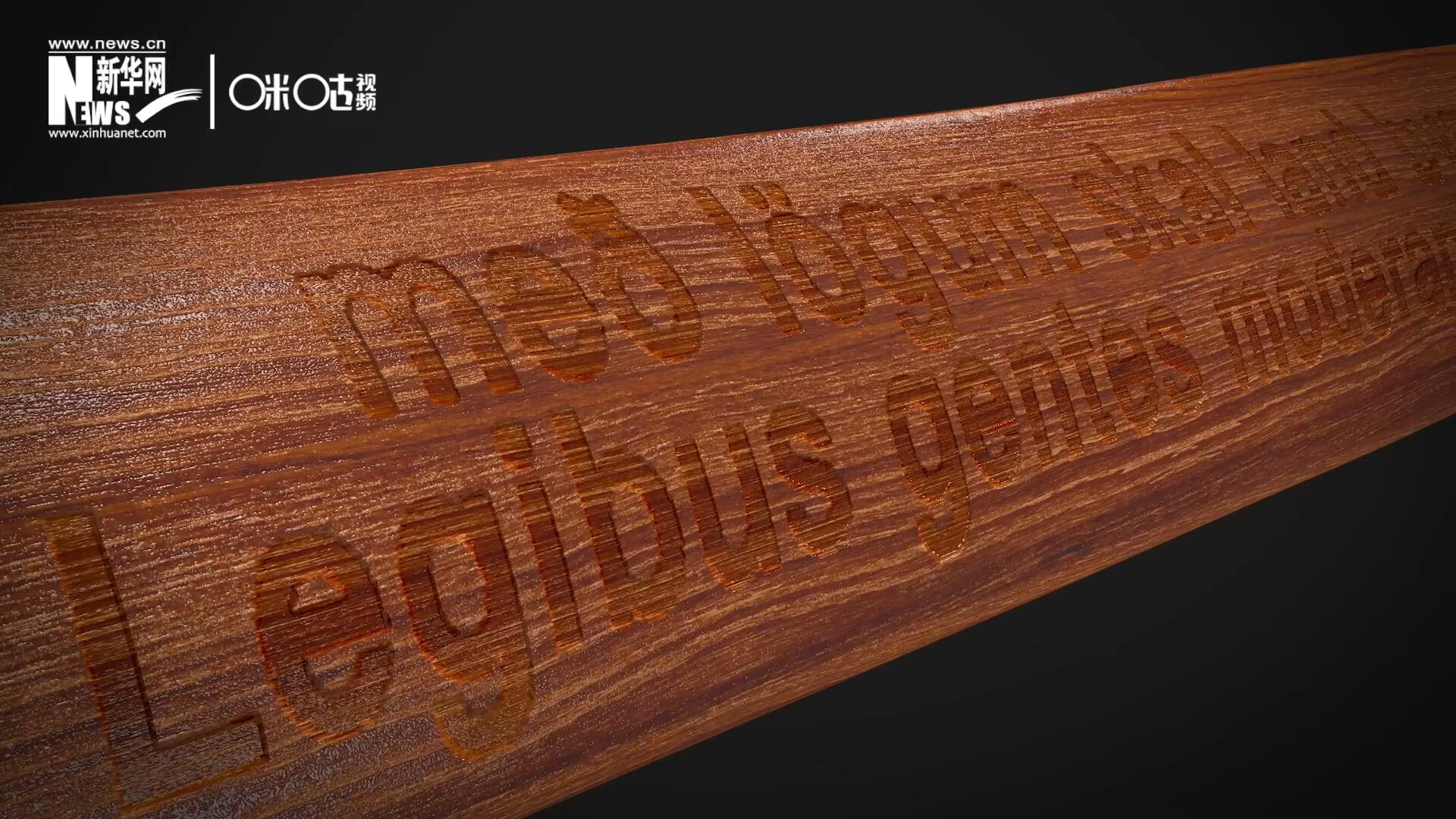 這把木槌尺寸超大、顏色棕紅、精雕細刻，上面刻有&ldquo;社會必須建立在法律的基礎上&rdquo;。