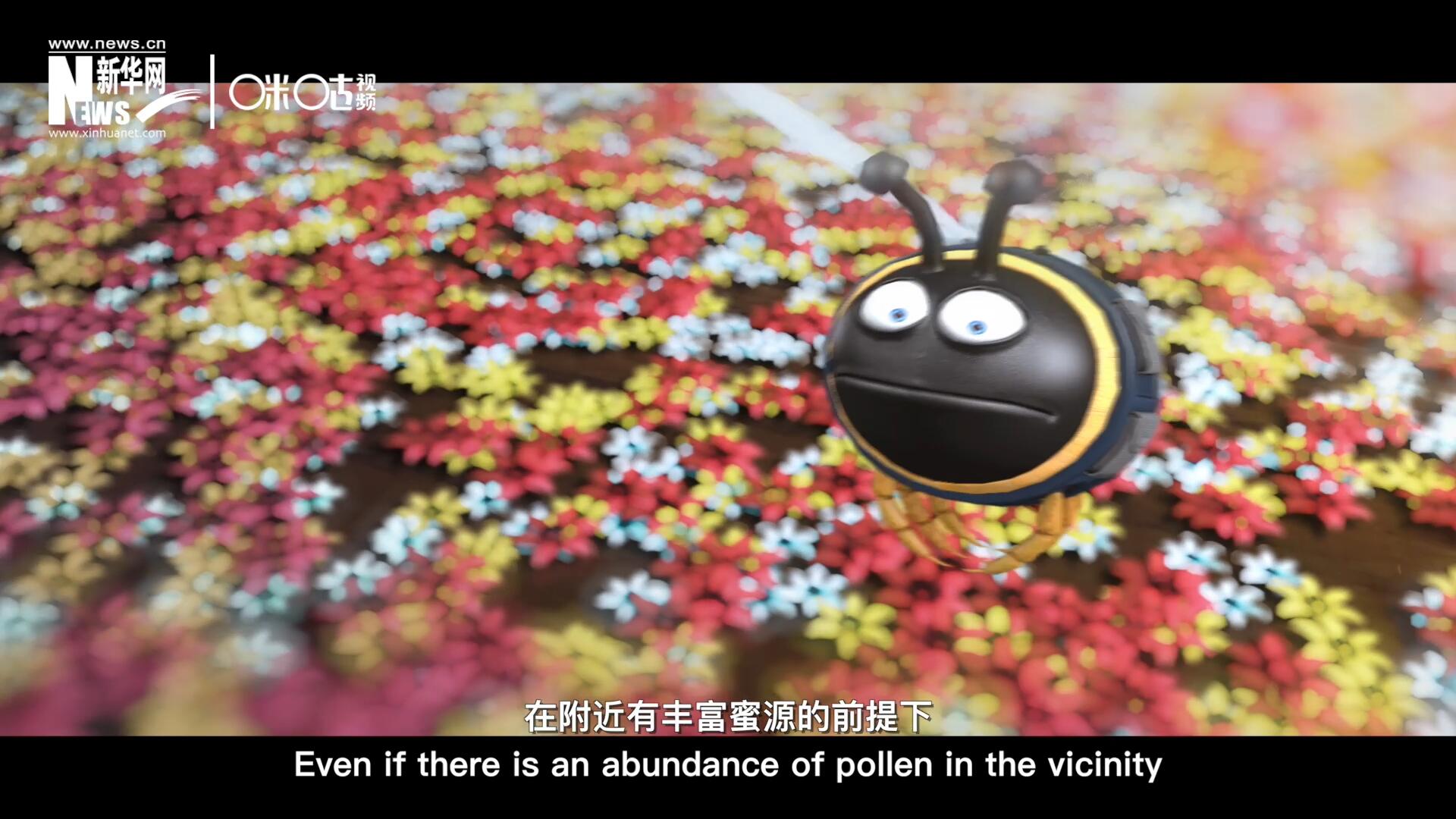 你知道一只蜜蜂采一公斤蜜有多辛苦嗎？據(jù)統(tǒng)計(jì)，在附近有豐富蜜源的前提下，一只蜜蜂大約需要飛行四萬千米