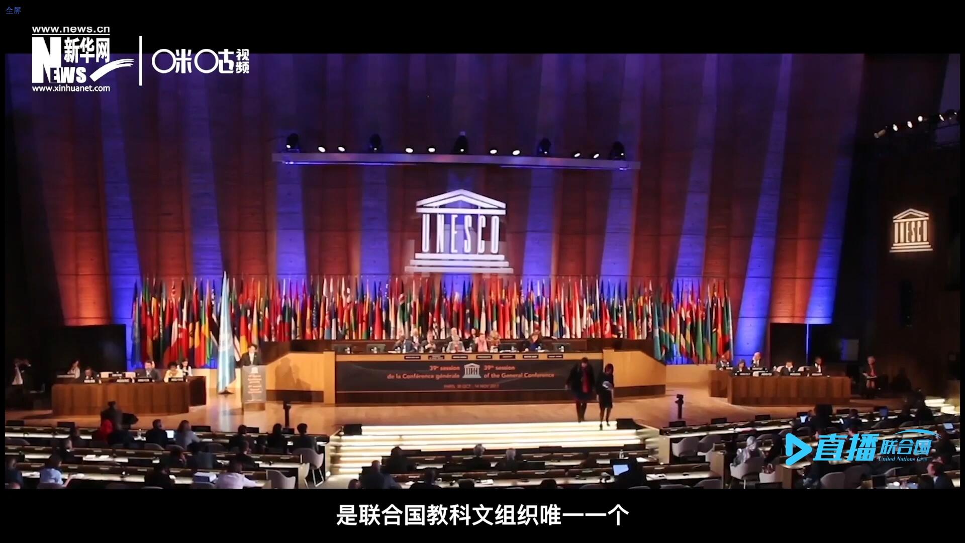 民間藝術(shù)國際組織成立于1979年，是聯(lián)合國教科文組織唯一一個以保護(hù)和挖掘國際民間藝術(shù)為工作中心的國際機(jī)構(gòu)。