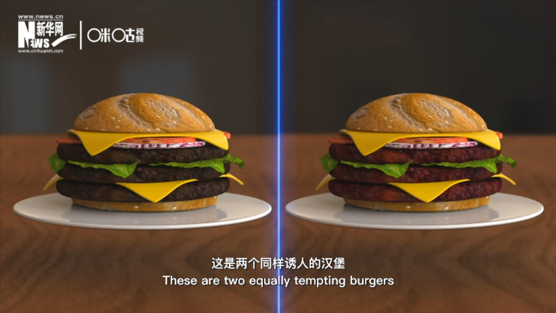 人造肉漢堡能在生產(chǎn)過程中節(jié)約水、土地、排放以及能量