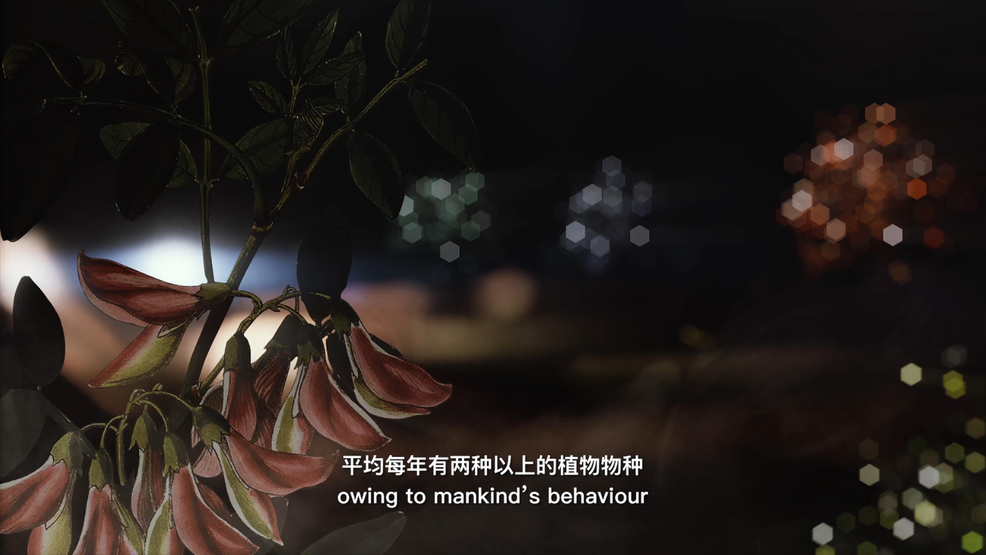 自18世紀中葉以來，許多植物物種因為人類的原因而從地球上消失