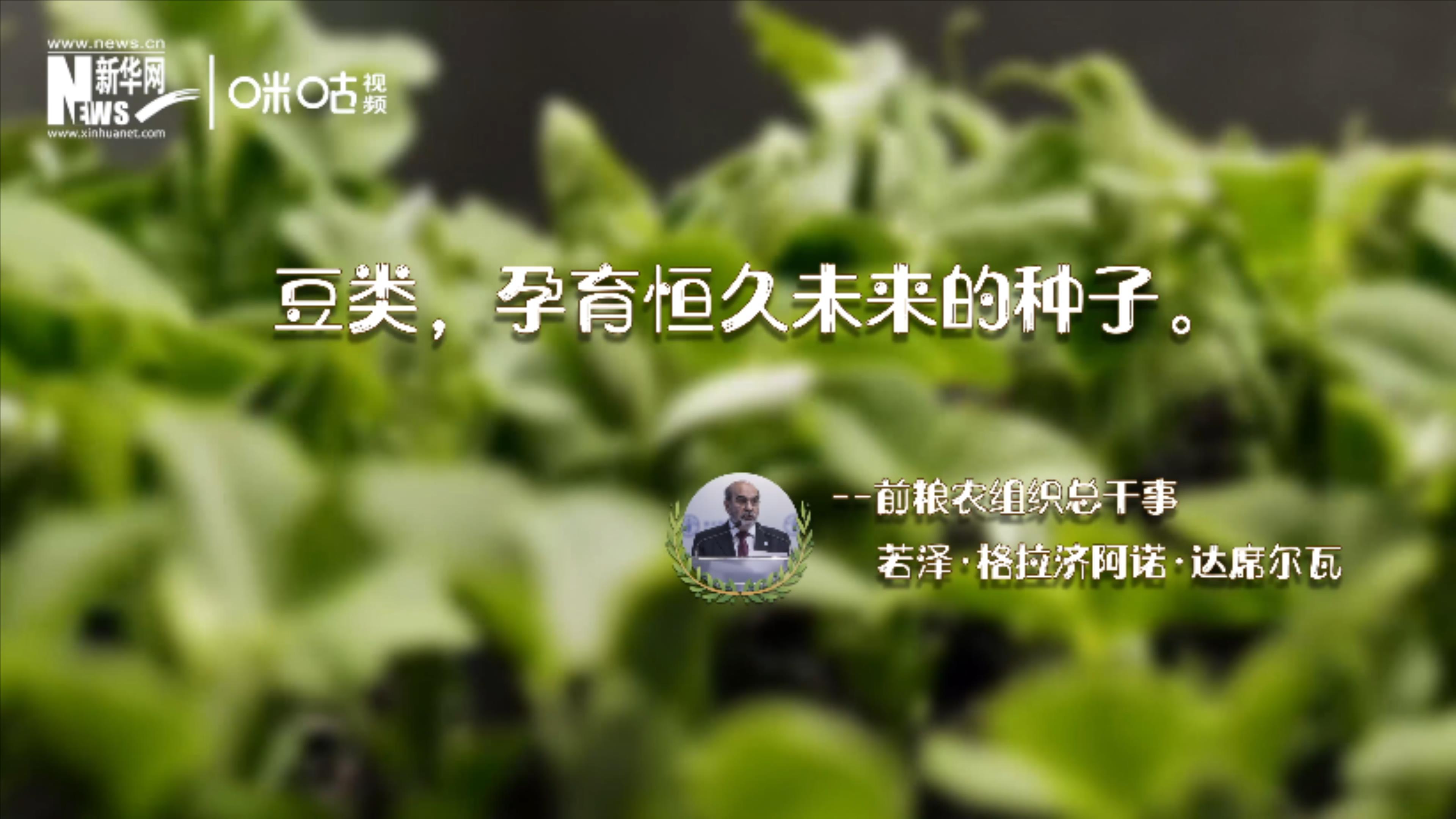 豆類，孕育恒久未來(lái)的種子