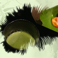 熱茶與伏天的關系，只有清涼