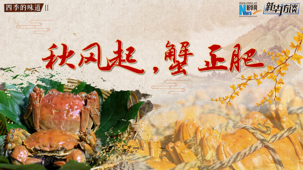 秋風起，蟹正肥