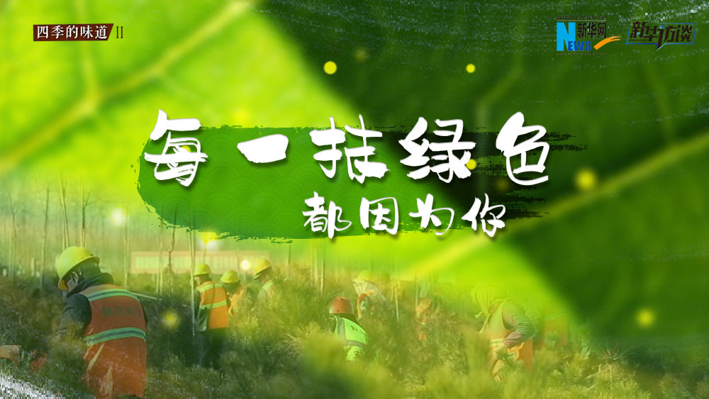 千年秀林，每一抹綠色都因?yàn)槟? /></p>
<p class=