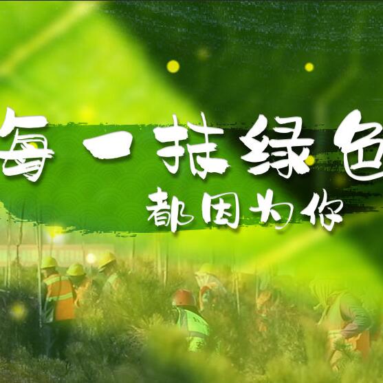 千年秀林，每一抹綠色都因?yàn)槟? /></a>       
<div   id=