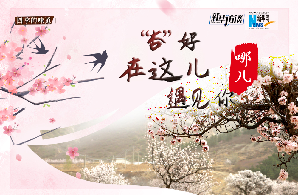 哪兒？&ldquo;杏&rdquo;好在這兒遇見你！