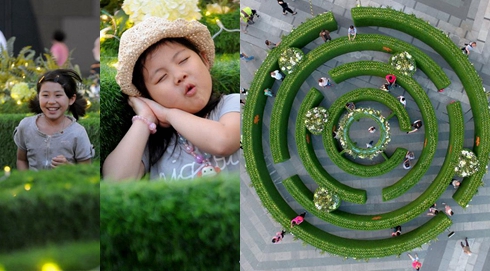 &ldquo;花園迷宮&rdquo;亮相沈陽(yáng)