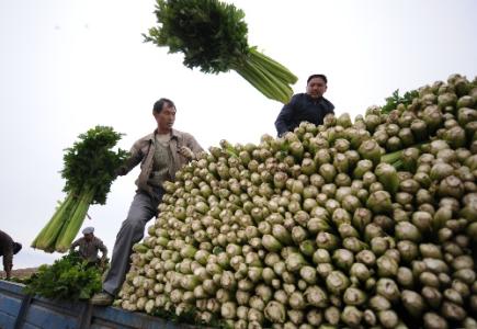 劉永富：發(fā)展產(chǎn)業(yè)脫貧仍是精準扶貧、精準脫貧主攻方向