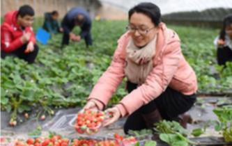 全國人大代表唐廷波：加強(qiáng)落實強(qiáng)農(nóng)惠農(nóng)政策 增加農(nóng)民收入