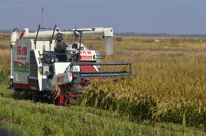 新華社評論員:穩(wěn)固耕地基本盤，打好種業(yè)翻身仗