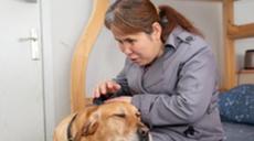 &ldquo;有你在身旁，真好&rdquo;