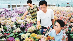 臺商眼中的改革開放：風景這邊獨好 要去，要去，要去！