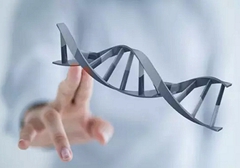 小細(xì)胞肺癌需要做基因檢測嗎？